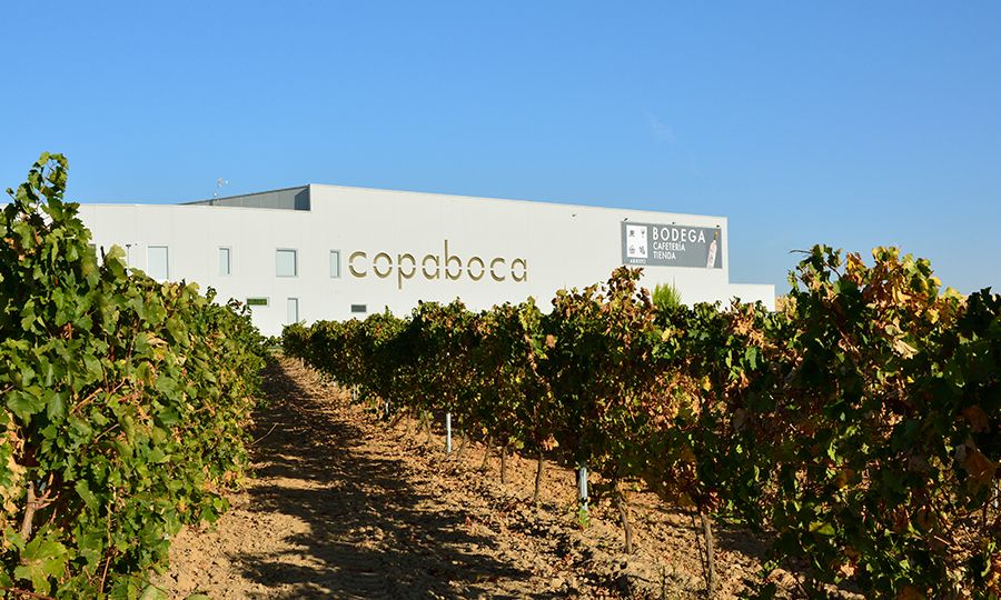 Our Wines: Bodegas Copaboca – Wine & Tech